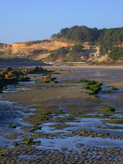 Beach-Strand-Oregon-Coast-near-Newport-Oregon-USA-DSCN3892.jpg