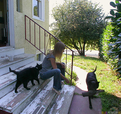 Dog-Cat-Skylar-Rainier-Beach-Stairs-Seattle-Washington-USA-DSCN3502.jpg