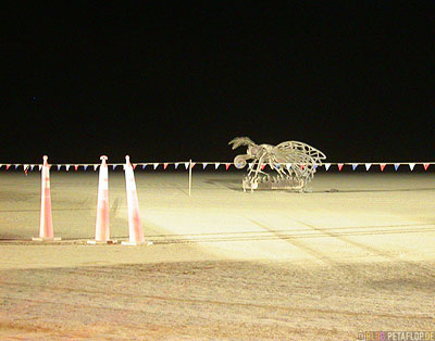 Fly-Sculpture-black-rock-desert-Burning-Man-2007-Nevada-USA-DSCN4365.jpg