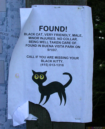 Found-cat-flyer-Buena-Vista-Park-Hill-SF-San-Francisco-California-Kalifornien-USA-DSCN5133.jpg