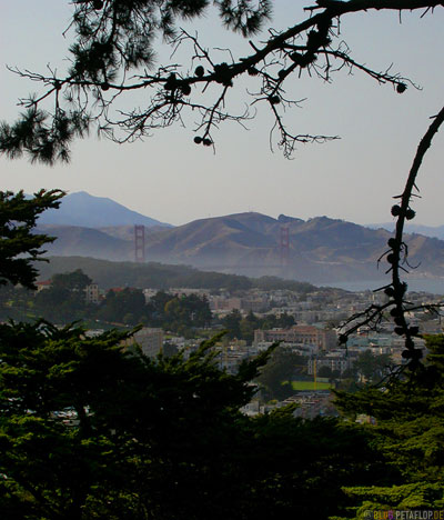 Golden-Gate-Bridge-View-from-Buena-Vista-Park-Hill-SF-San-Francisco-California-Kalifornien-USA-DSCN5132.jpg