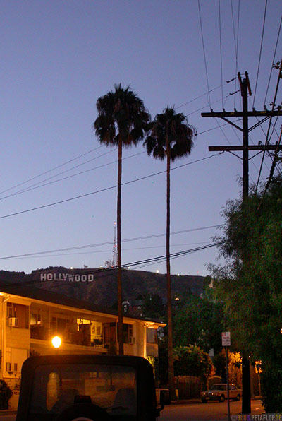 Hollywood-Writing-Hollywood-Hills-Palms-Palmen-Los-Angeles-USA-DSCN5562.jpg