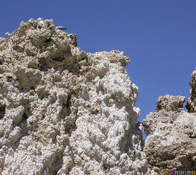 Monolake-Mono-Lake-California-Kalifornien-USA-DSCN4993.jpg