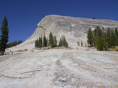 Rock-Fels-Felsen-Yosemite-National-Park-Nationalpark-California-Kalifornien-USA-DSCN5037.jpg