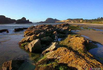 Rocky-Beach-felsiger-Strand-Oregon-Coast-near-Newport-Oregon-USA-DSCN3895.jpg