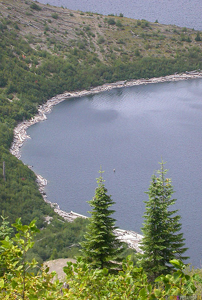 Scenery-Landschaft-Spirit-Lake-Logs-Lumber-Baumstaemme-See-Mt-Mount-St-Helens-Washington-USA-DSCN3756.jpg