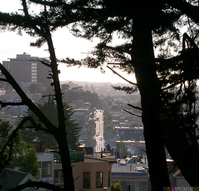 Street-View-from-Buena-Vista-Park-Hill-SF-San-Francisco-California-Kalifornien-USA-DSCN5135.jpg