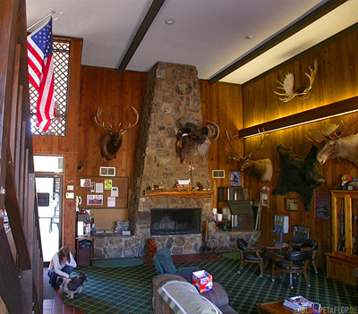 Bear-Lodge-Motel-Lobby-mounted-animals-animal-heads-big-game-Sundance-Wyoming-USA-DSCN7131.jpg