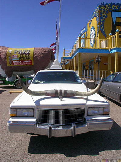 car-hood-bonnet-longhorn-Langhorn-Rinderhoerner-Motorhaube-Auto-Big-Texan-Steak-Ranch-House-Steakhaus-old-route-66-Amarillo-Texas-USA-DSCN7319.jpg