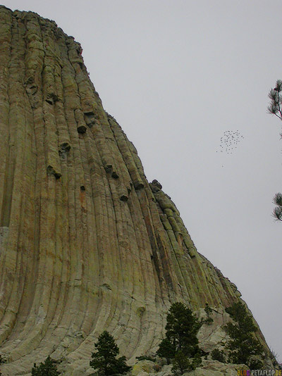 Detail-Devils-Tower-National-Monument-Close-Encounters-Begegnung-der-dritten-Art-Wyoming-USA-00356.jpg