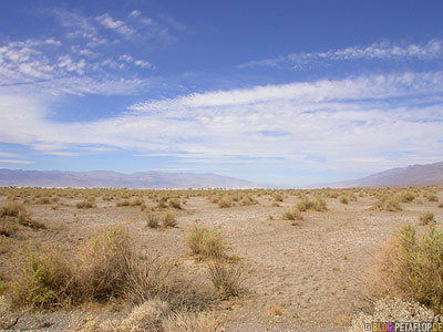 Devils-corn-field-Death-Valley-California-Kalifornien-USA-DSCN5738.jpg