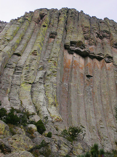 Felswand-Detail-Rock-close-up-Devils-Tower-National-Monument-Close-Encounters-Begegnung-der-dritten-Art-Wyoming-USA-00362.jpg