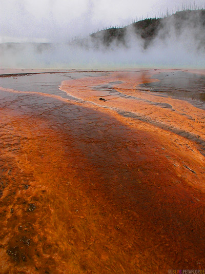 Grand-Prismatic-Spring-heisse-Quelle-hot-Yellowstone-national-Park-Wyoming-USA-DSCN6818.jpg