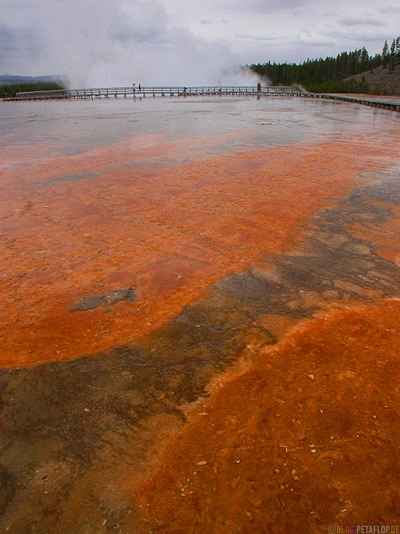 Grand-Prismatic-Spring-heisse-Quelle-Yellowstone-national-Park-Wyoming-USA-DSCN6806.jpg