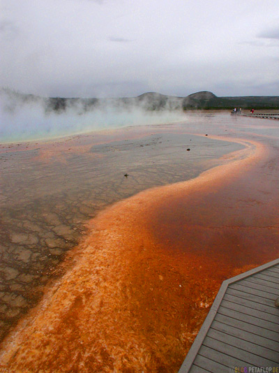 Grand-Prismatic-Spring-hot-heisse-Quelle-Yellowstone-national-Park-Wyoming-USA-DSCN6808.jpg