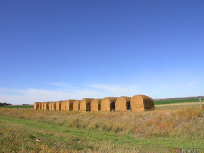 Highway-385-loaf-of-bread-loafs-straw-breads-white-bread-Brote-Brotlaibe-Stroh-Toast-Weissbrot-Nebraska-USA-DSCN7196.jpg