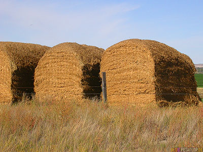 Highway-385-loaf-of-bread-loafs-straw-breads-white-bread-Brote-Brotlaibe-Stroh-Toast-Weissbrot-Nebraska-USA-DSCN7199.jpg