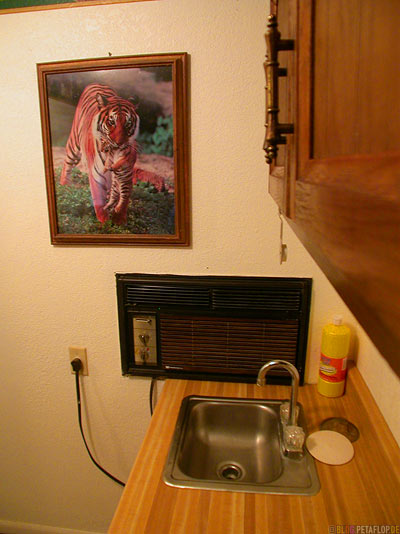 Maverick-Motel-room-Tiger-picture-for-sale-Greybull-Wyoming-USA-00290.jpg