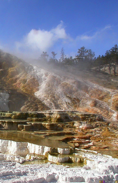 Minerva-Terraces-Terrassen-Mammoth-Hot-Springs-Yellowstone-National-Park-Wyoming-USA-DSCN6853.jpg