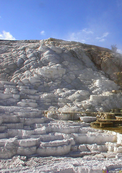 Minerva-Terraces-Terrassen-Mammoth-Hot-Springs-Yellowstone-National-Park-Wyoming-USA-DSCN6853b.jpg