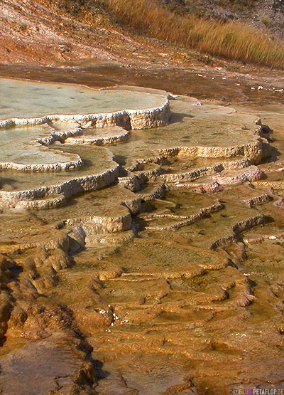 Minerva-Terraces-Terrassen-Mammoth-Hot-Springs-Yellowstone-National-Park-Wyoming-USA-DSCN6857.jpg