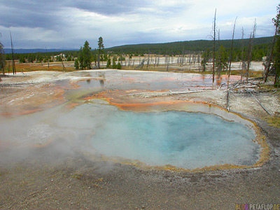 Pool-hot-spring-heisse-Quelle-Yellowstone-National-Park-Wyoming-USA-DSCN6771.jpg