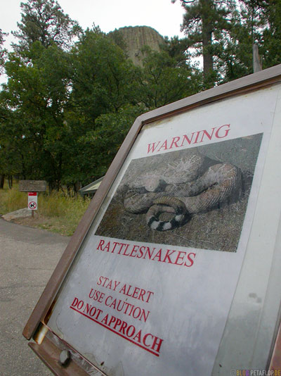 Rattlesnakes-warning-Klapperschlangen-Warnung-Devils-Tower-National-Monument-Close-Encounters-Begegnung-der-dritten-Art-Wyoming-USA-00337.jpg