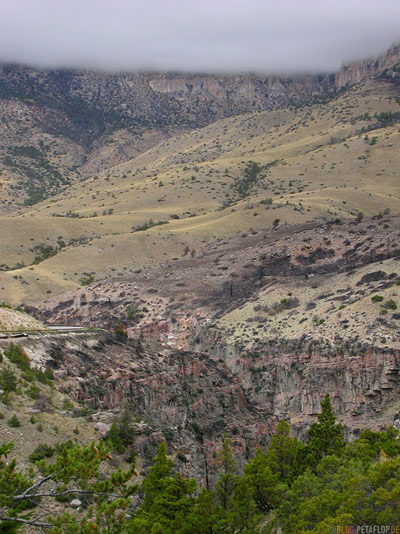 verbrannte-Baeume-burnt-trees-woods-Bighorn-Mountains-Wyoming-USA-00315.jpg