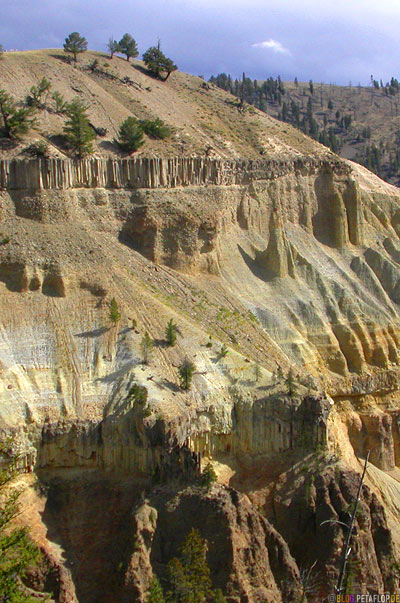 Yellowstone-National-Park-Wyoming-USA-DSCN6891.jpg