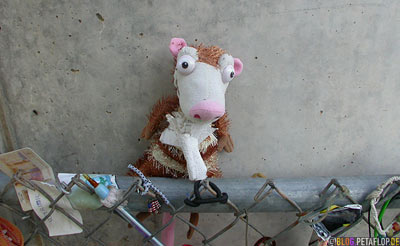 Memorabilia-cuddly-soft-toys-Erinnerungsstuecke-Stofftiere-Opfer-Bombenanschlag-Mahnmal-National-Memorial-Alfred-P-Murrah-Federal-Building-Bombing-Oklahoma-City-OK-USA-DSCN7407.jpg