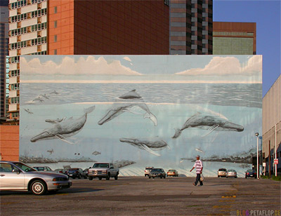 Wale-Whales-Mural-Wandgemaelde-Dallas-Texas-TX-USA-DSCN7515.jpg