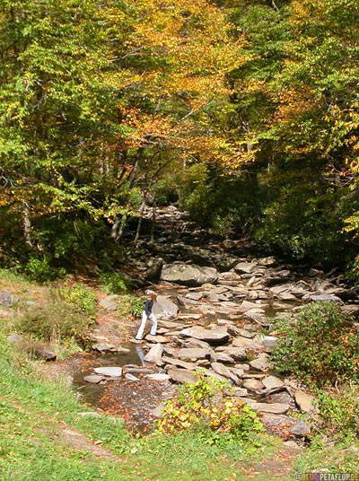 Creek-Bach-River-Fluss-Smokey-Mountains-North-Carolina-NC-USA-DSCN8163.jpg