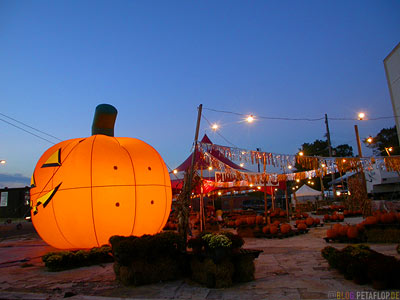 giant-glowing-Pumpkin-shop-promo-leuchtender-Riesenkuerbis-Werbung-Memphis-Tennessee-TN-USA-DSCN7890.jpg