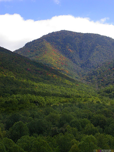 Hills-Huegel-Valley-Tal-Landschaft-Scenery-Smokey-Mountains-North-Carolina-NC-USA-DSCN8130.jpg