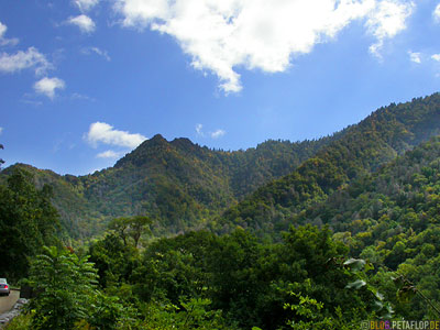 Hills-Huegel-Valley-Tal-Landschaft-Scenery-Smokey-Mountains-North-Carolina-NC-USA-DSCN8140.jpg