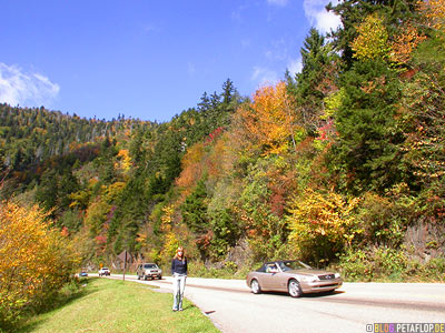 Road-Strasse-Highway-Mercedes-Smokey-Mountains-North-Carolina-NC-USA-DSCN8153.jpg