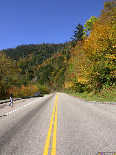 Road-Strasse-Highway-Smokey-Mountains-North-Carolina-NC-USA-DSCN8175.jpg