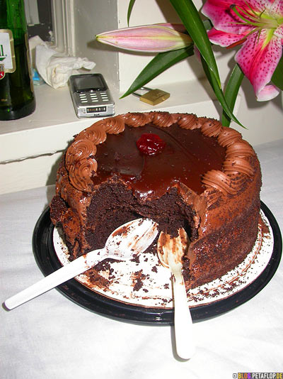 Birthday-Cake-Lilie-Lily-Flowers-Pilsner-Urquell-plastic-spoons-Plastikloeffel-Handy-Cellphone-Lock-Schloss-Candy-Hostel-upper-west-side-NYC-New-York-City-NY-DSCN8506.jpg