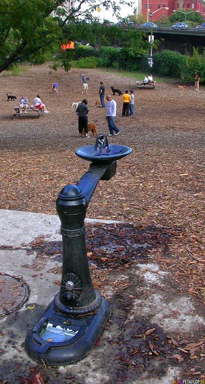 Water-fountain-for-dog-and-human-dog-run-Brooklyn-New-York-NY-USA-DSCN8763.jpg